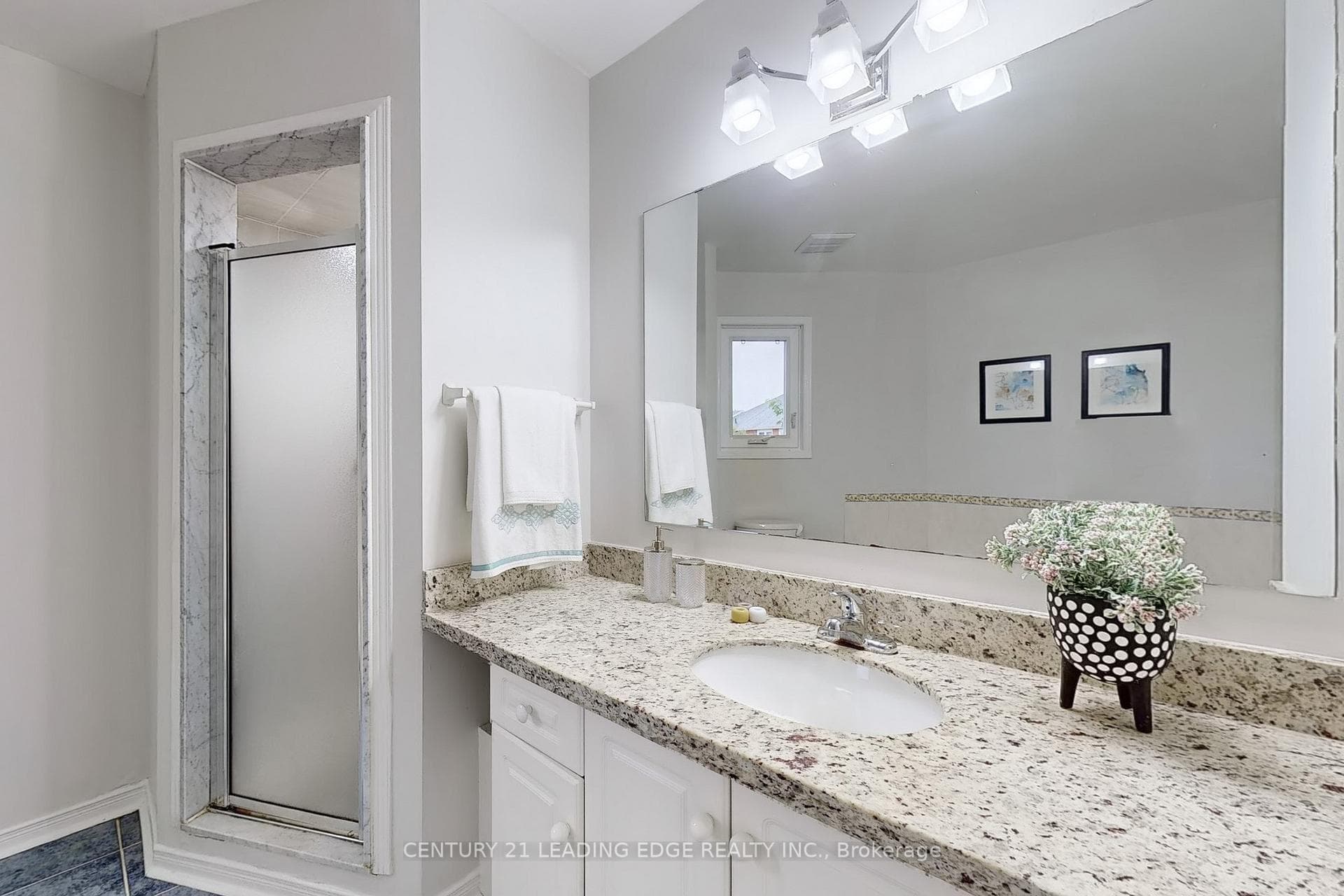 36 MEADOWGRASS Crescent photo 21