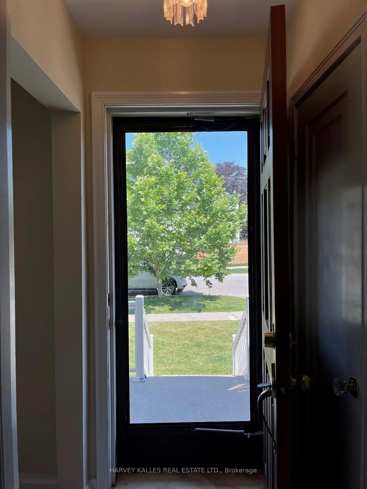 54 Charleston Road photo 5