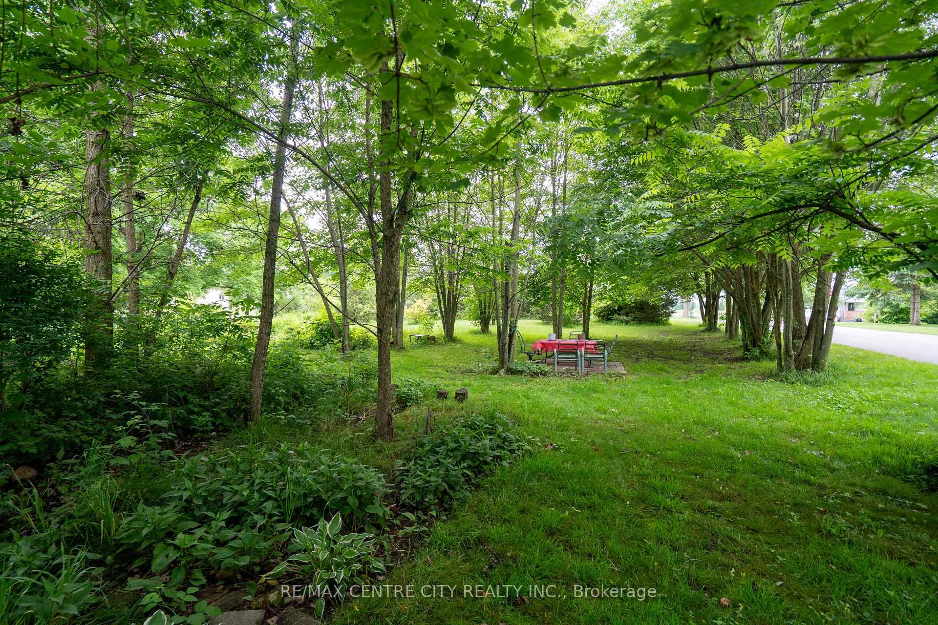 22971 Hagerty Road photo 7