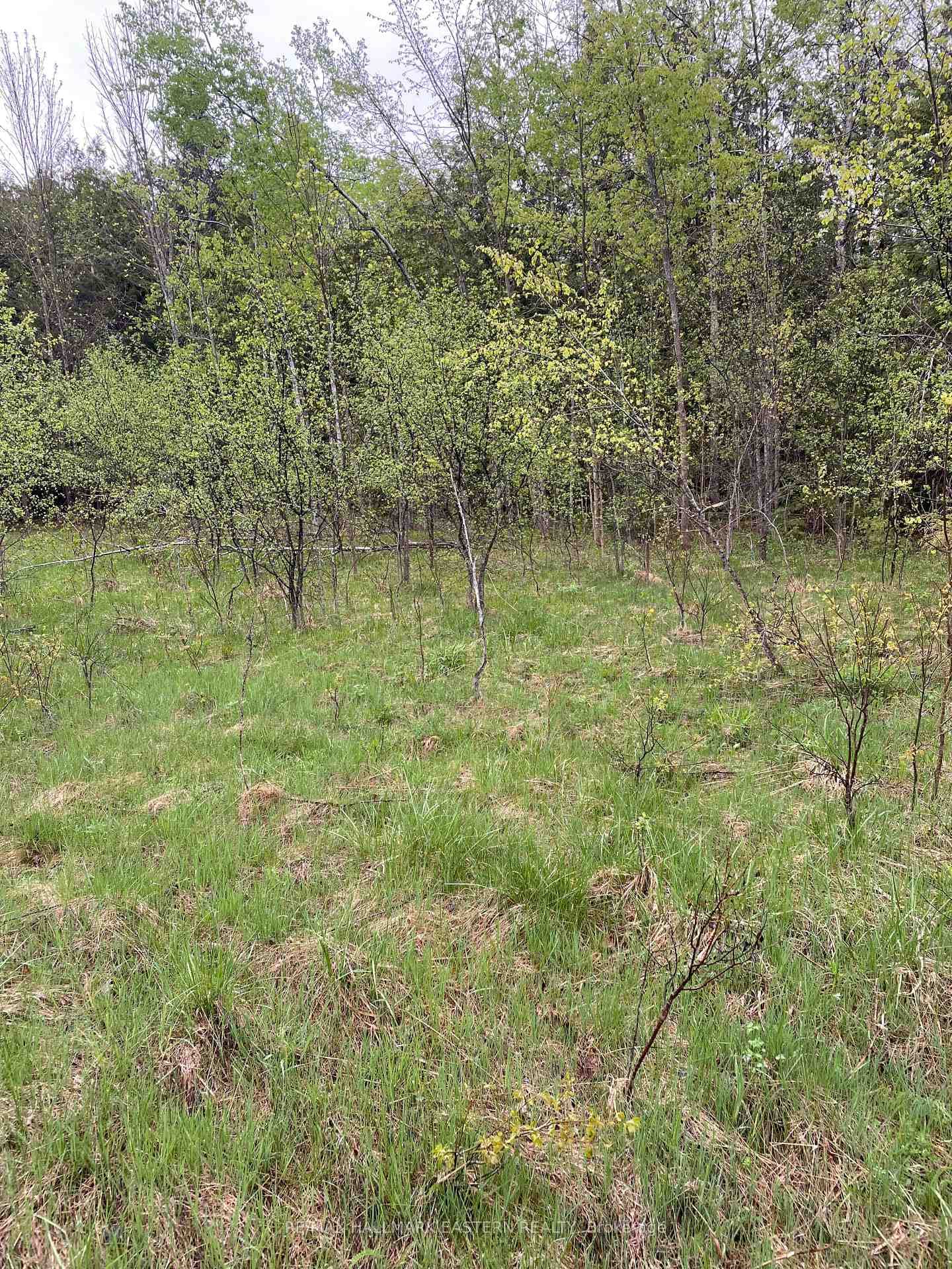 01 Adams-Cummings Road photo 5