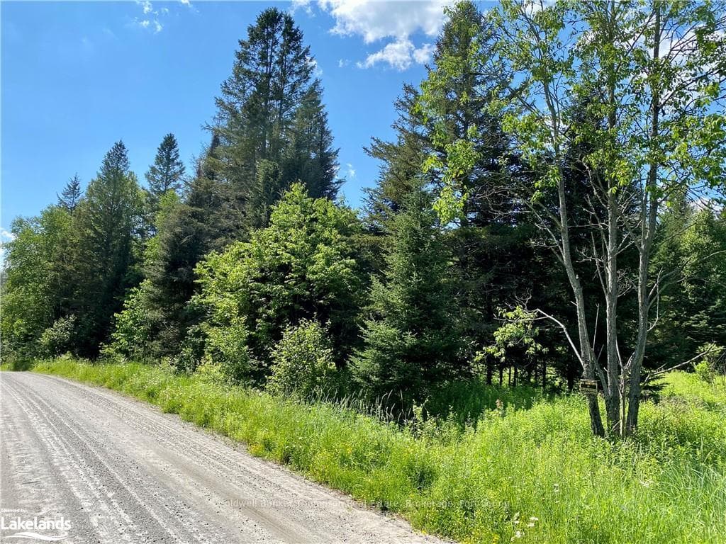 0 CONCESSION ROAD 10 AND 11 N/A photo 24