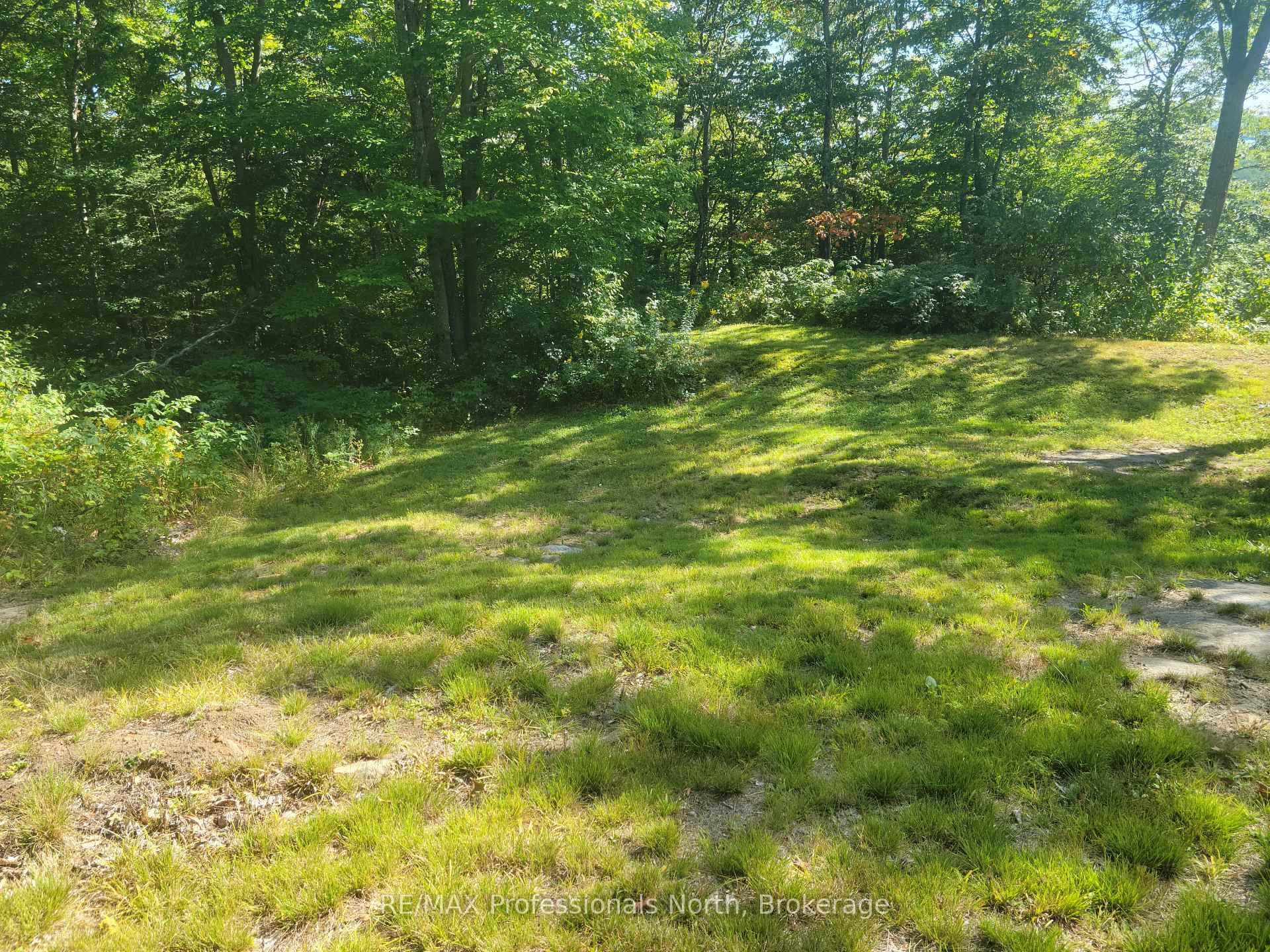 364 FORESTRY TOWER Road photo 27