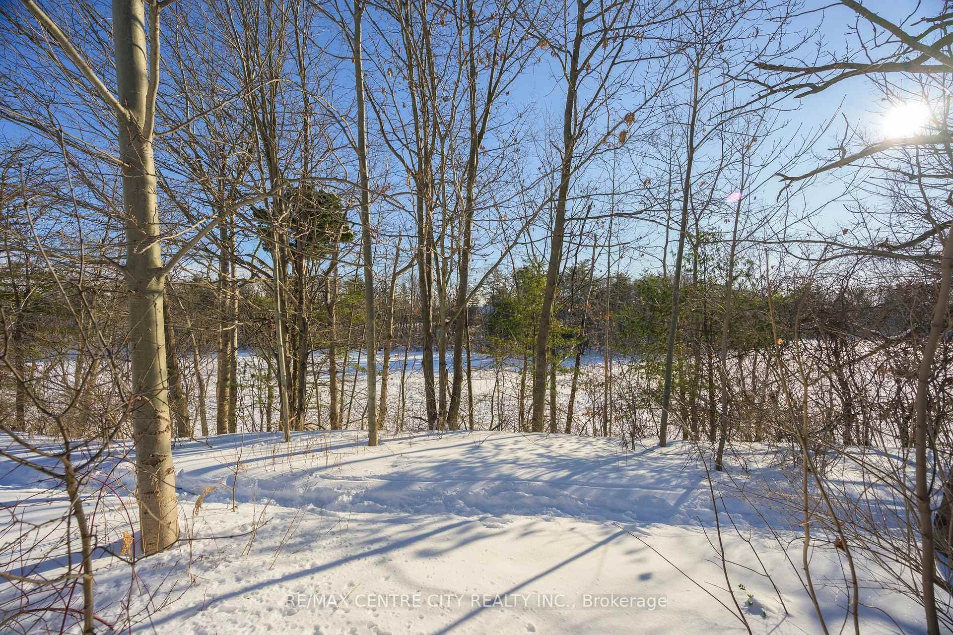 82 Mill Road photo 42