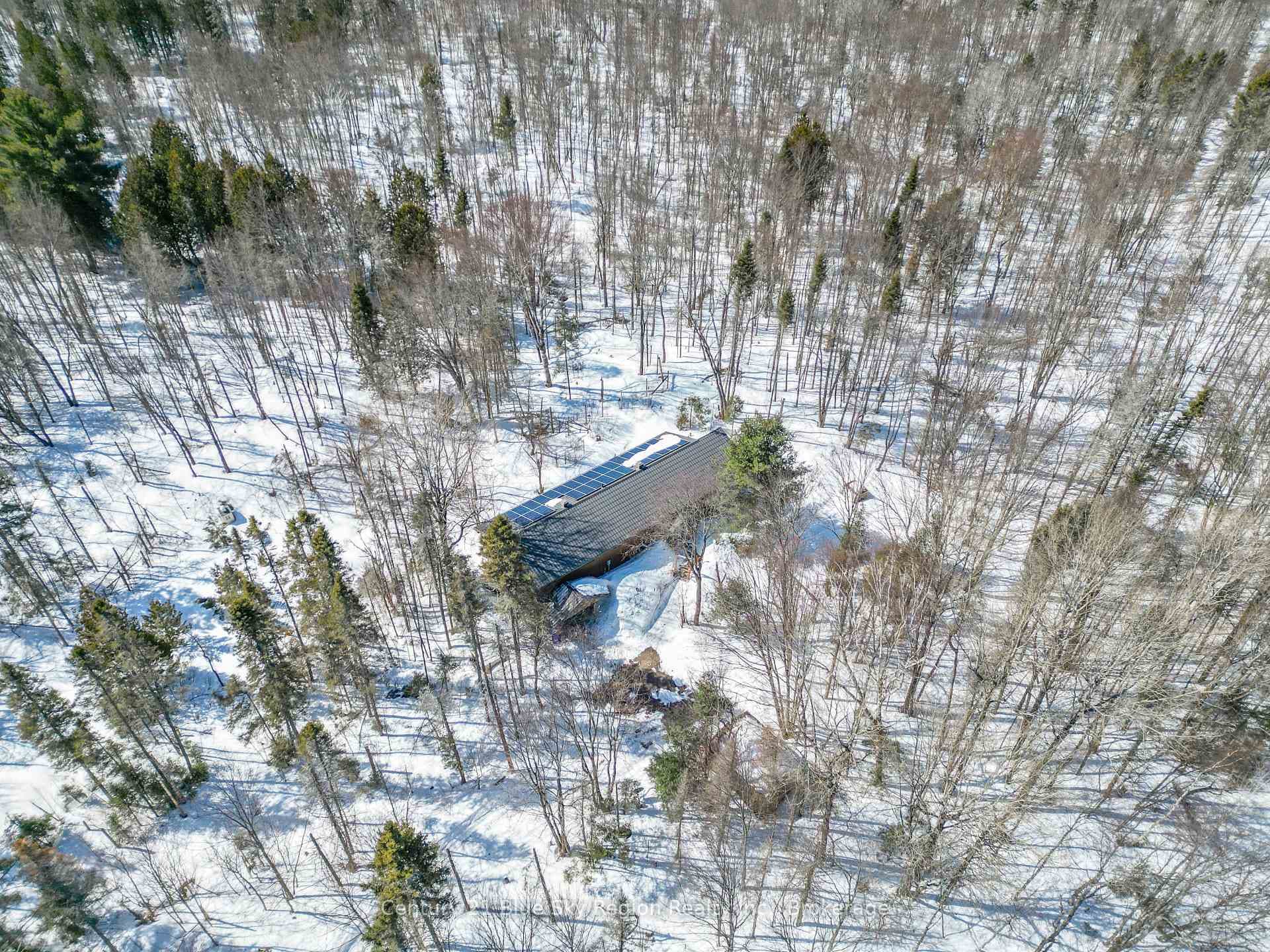 55 Chadbourne Drive photo 50