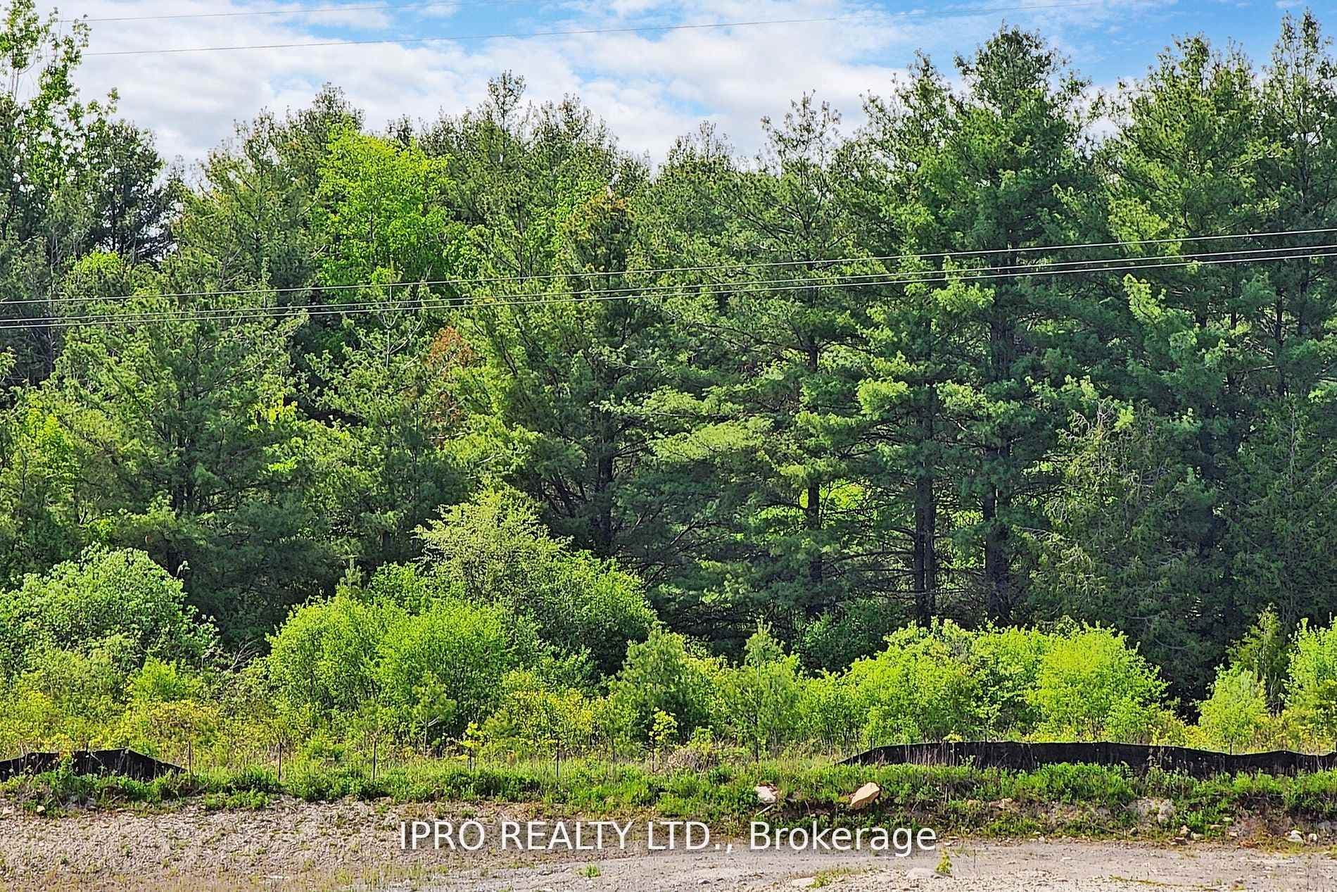 2614 Castlegate Crossing Circle photo 17