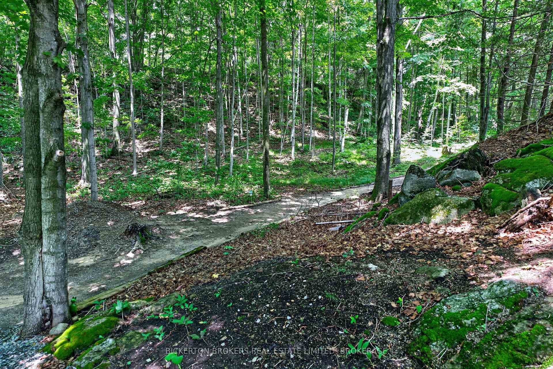 224 Big Hill Road photo 47