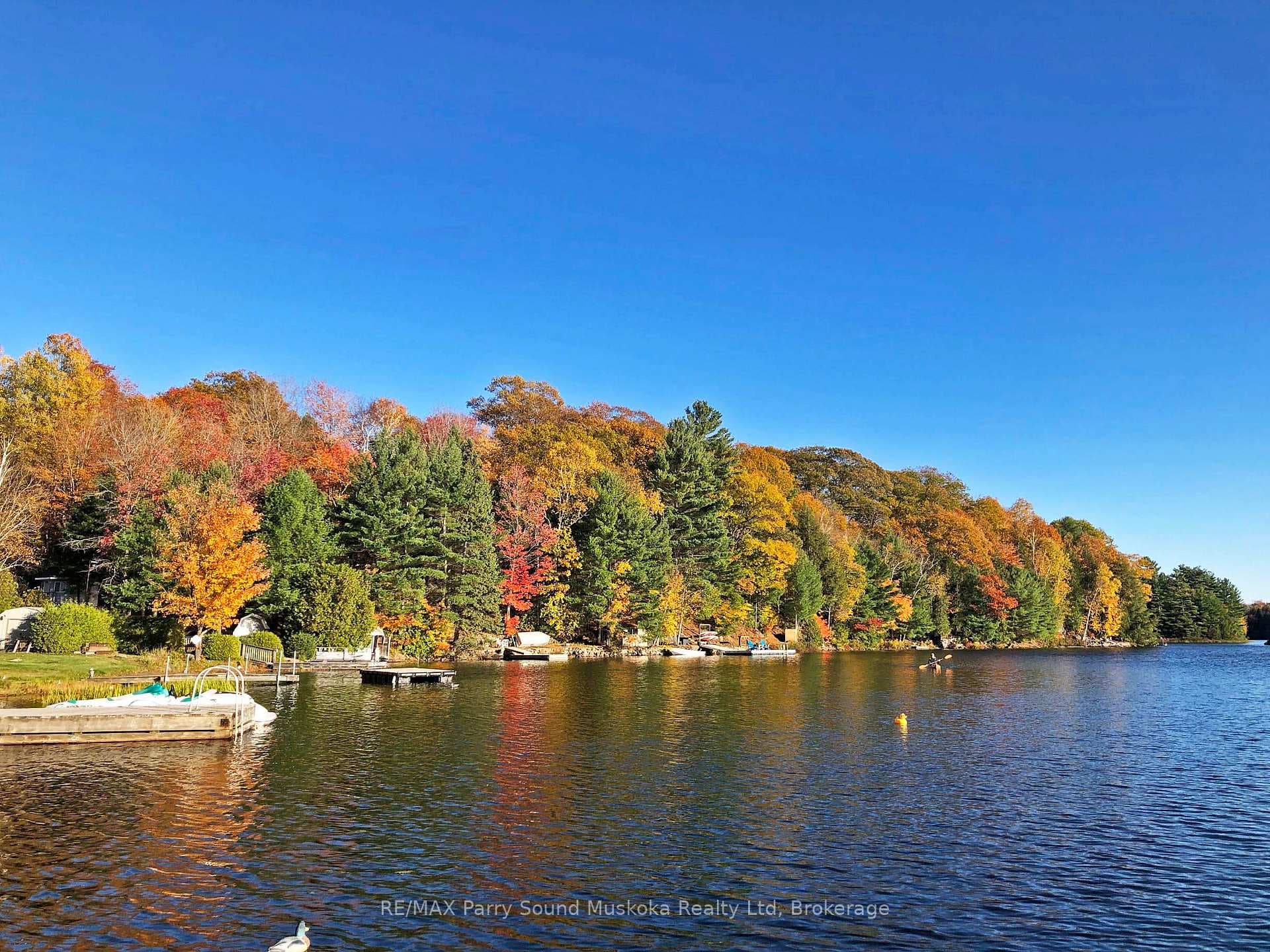 Stunning Salmon Lk shoreline