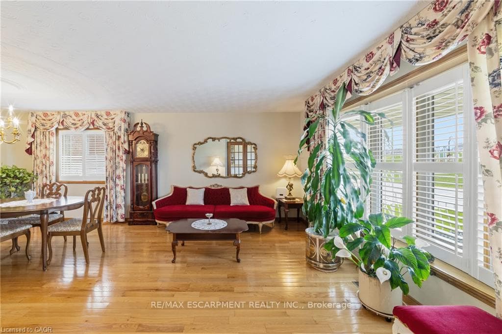 546 Dicenzo Drive photo 7