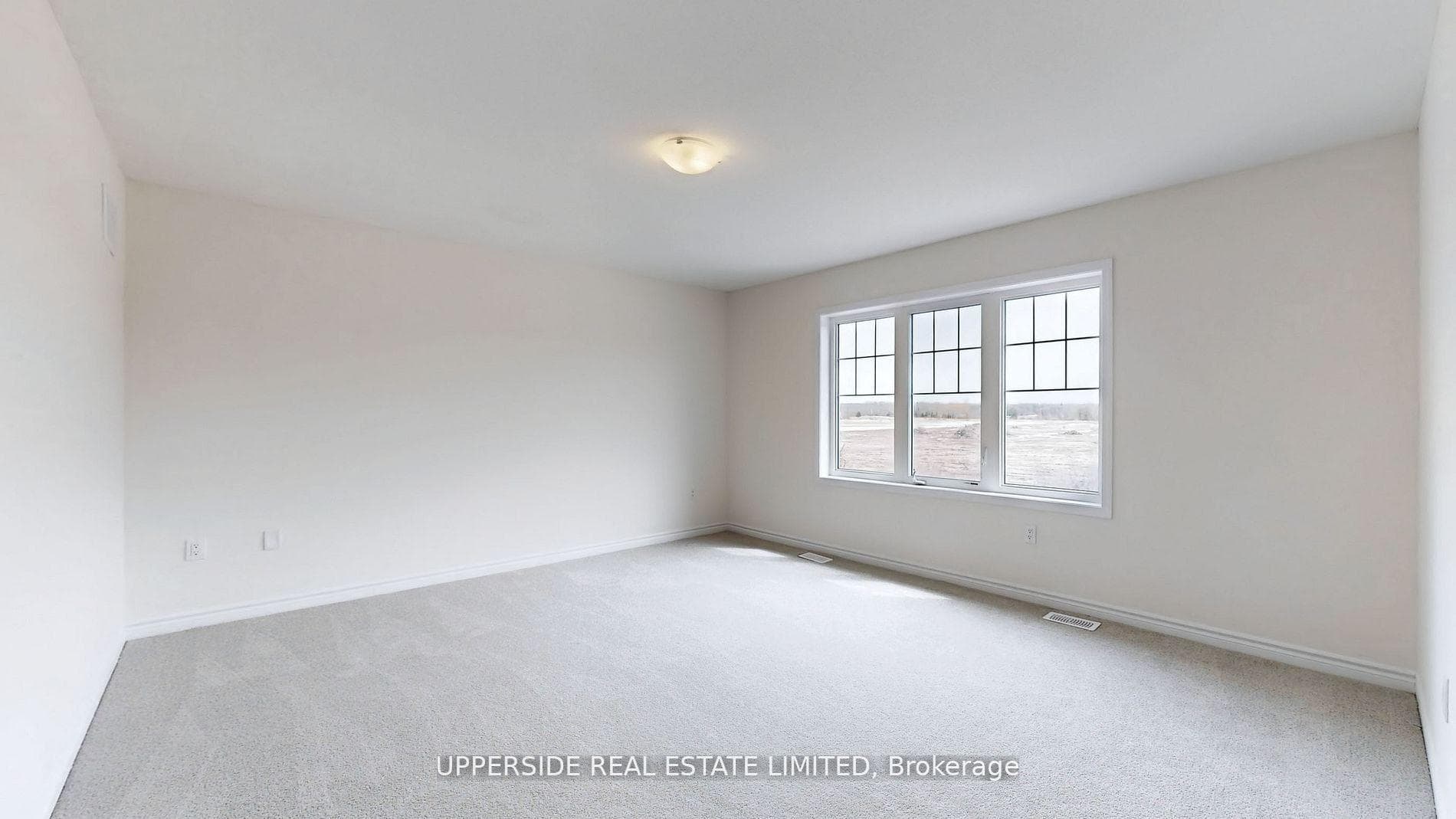 26 Shapira Avenue photo 16