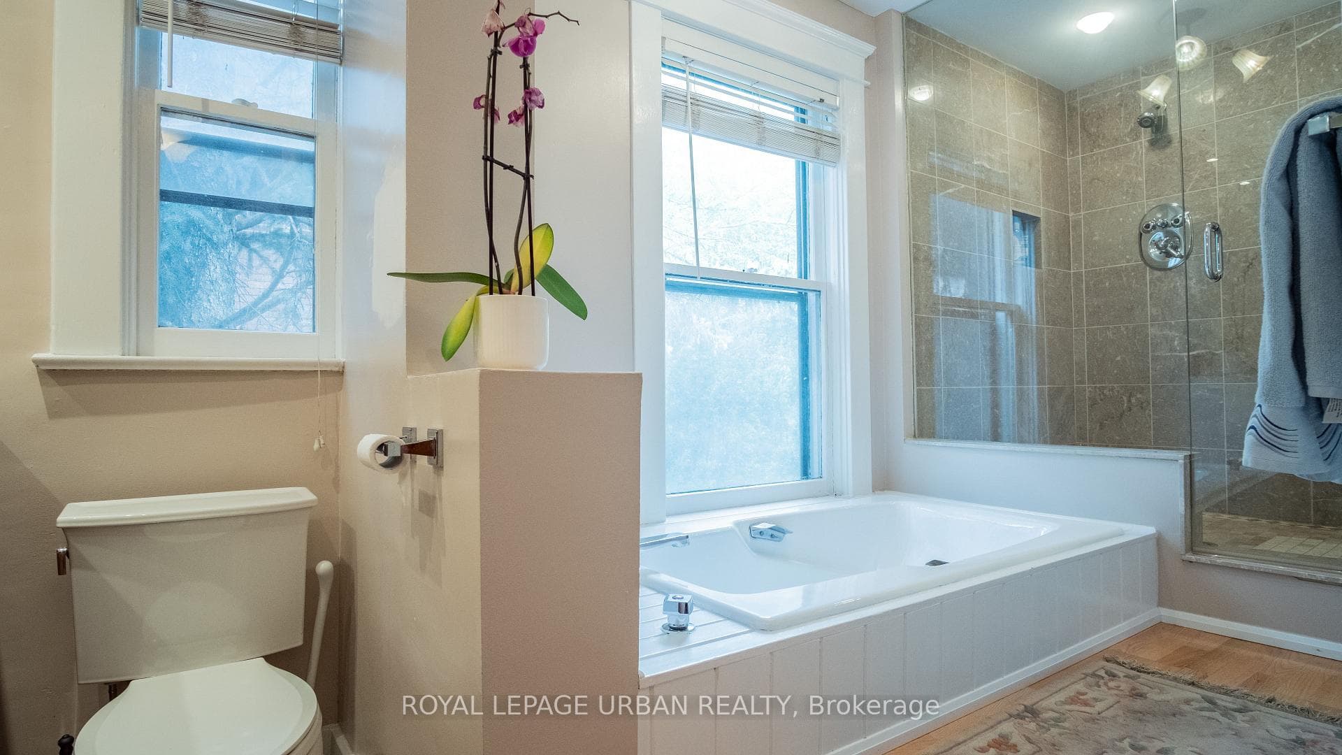 64 Brooklyn Avenue photo 21