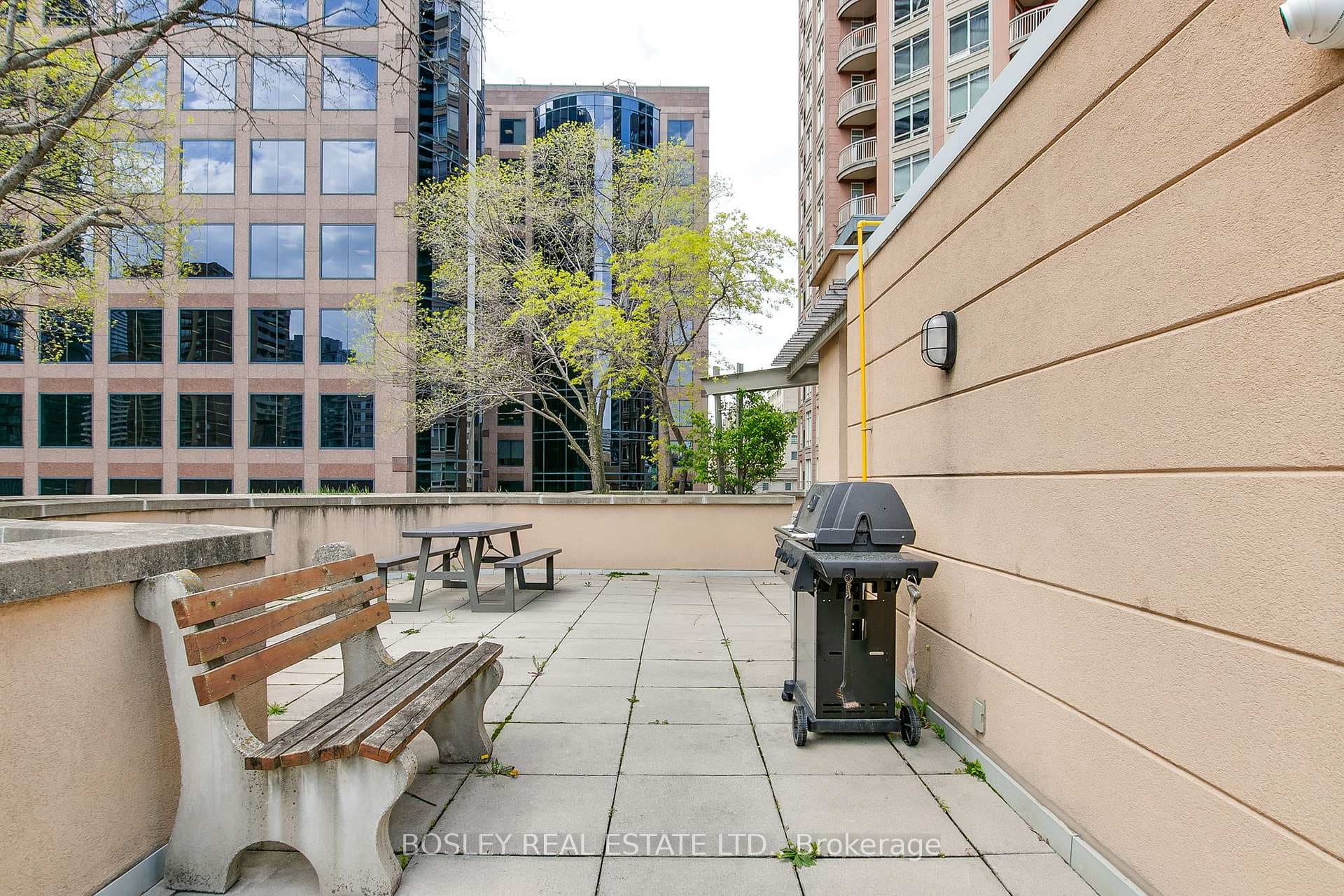 99 Hayden Street Unit 806 photo 30