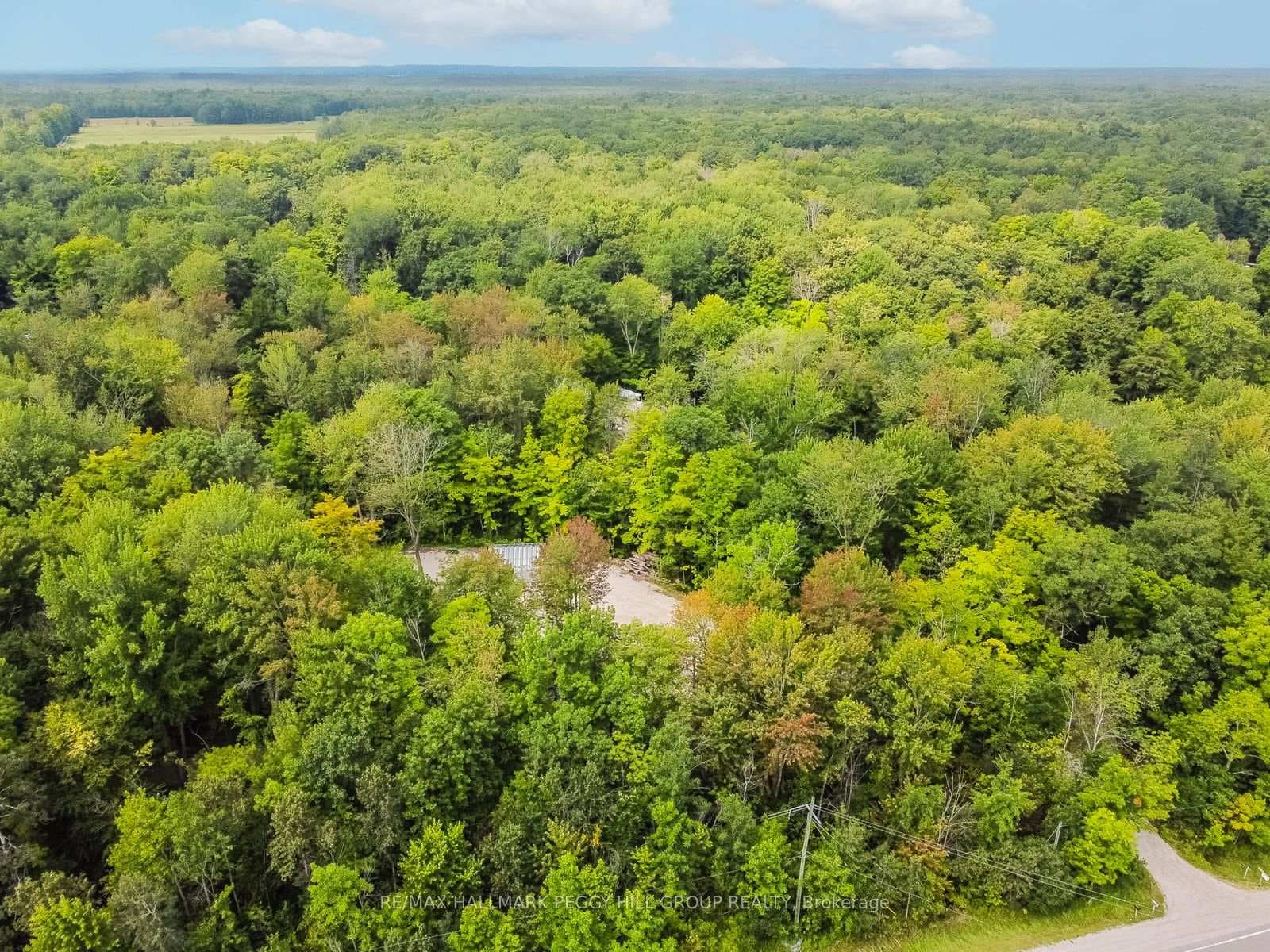 7012 County Road 169 N/A photo 11