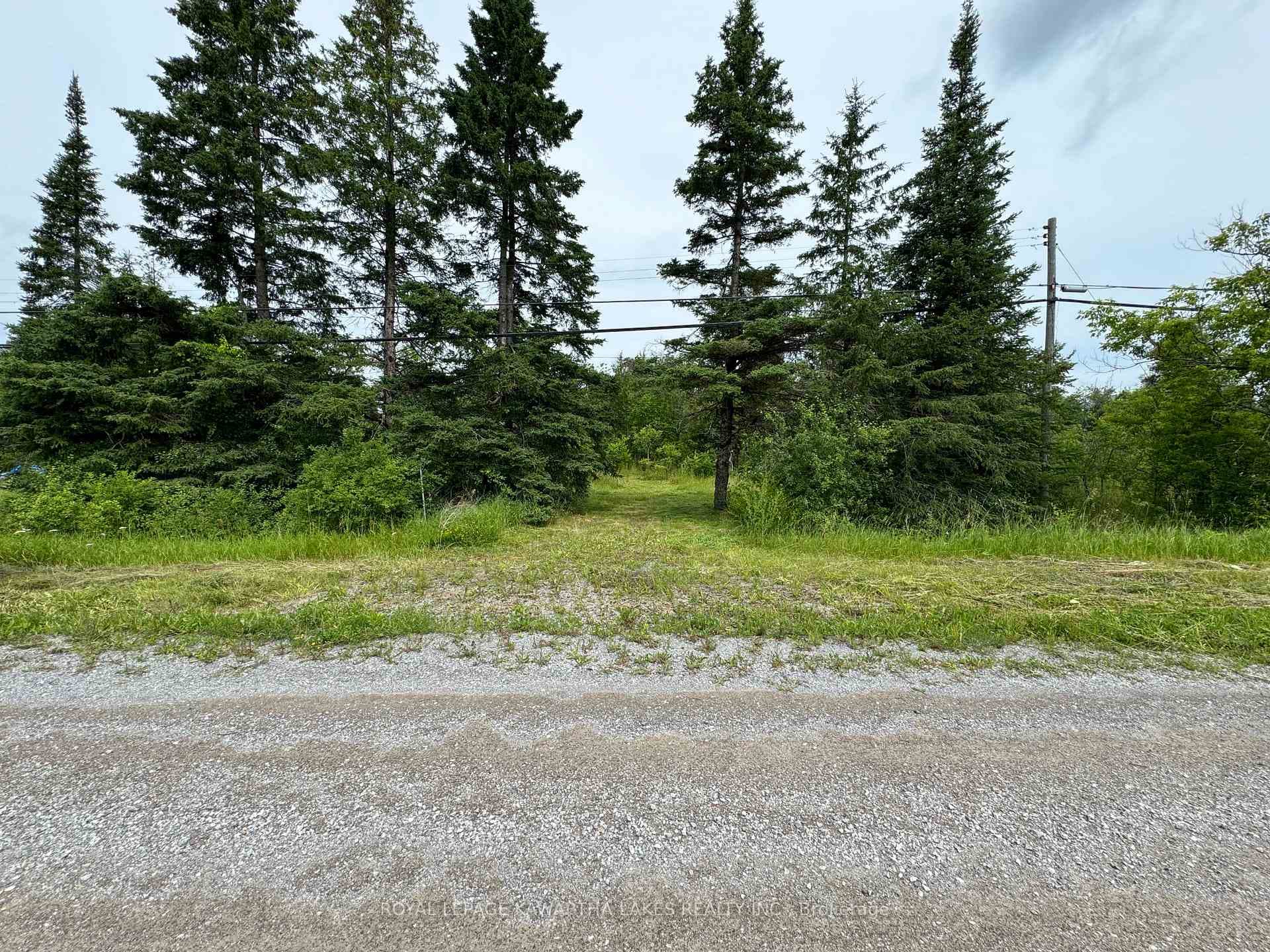 1405 Portage Road photo 4