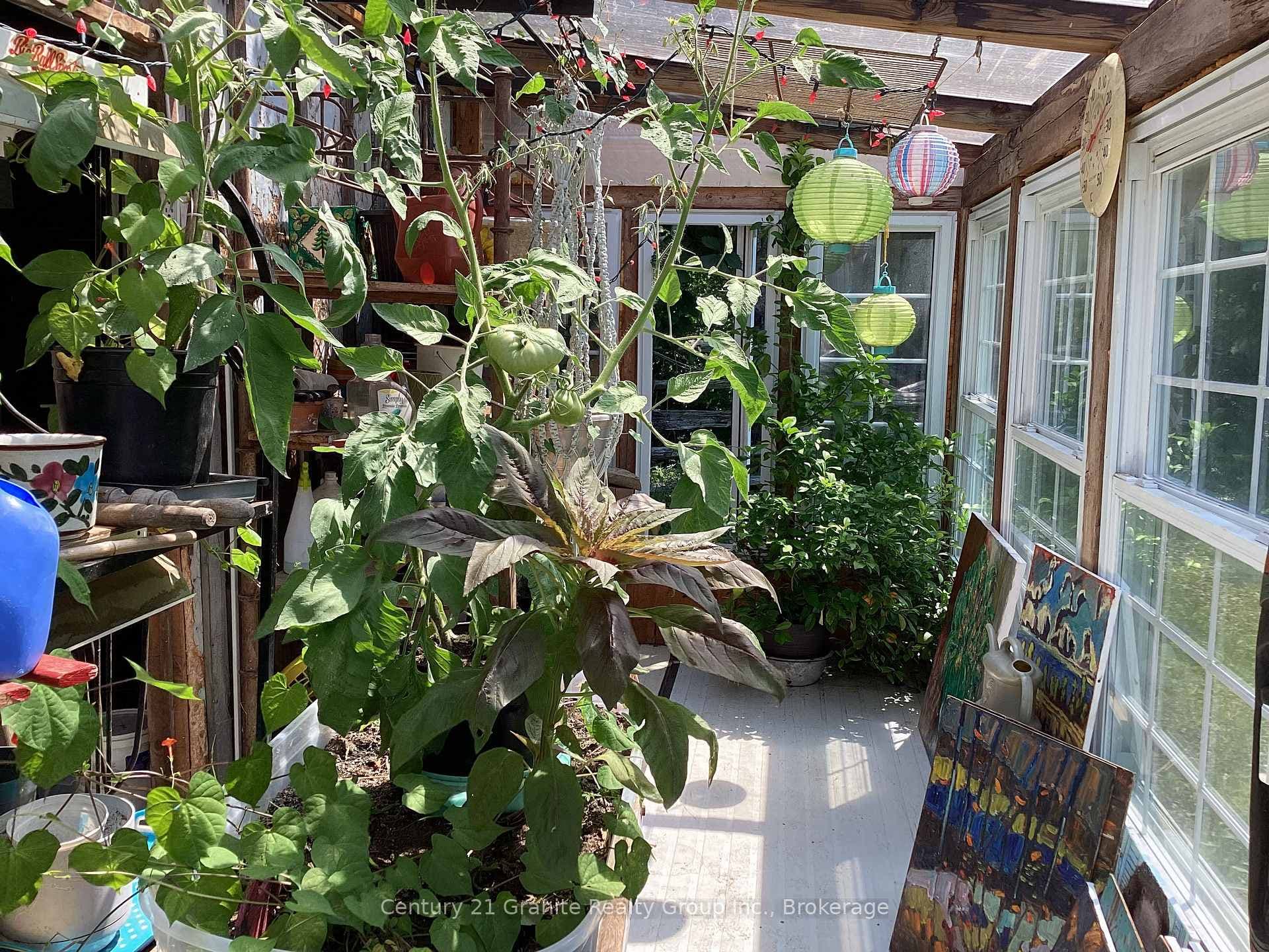 Greenhouse