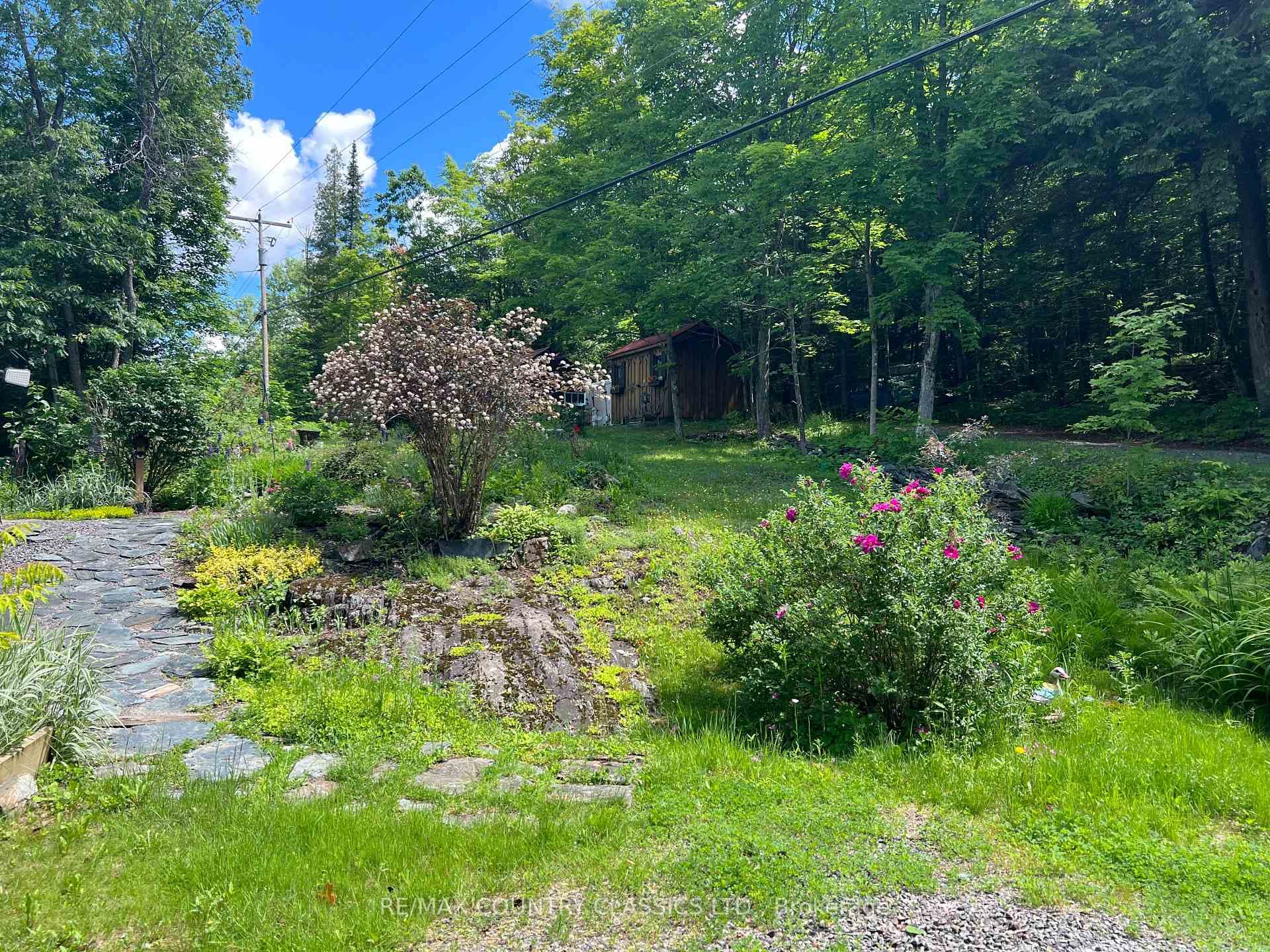 1322A Weslemkoon Lake Road photo 36