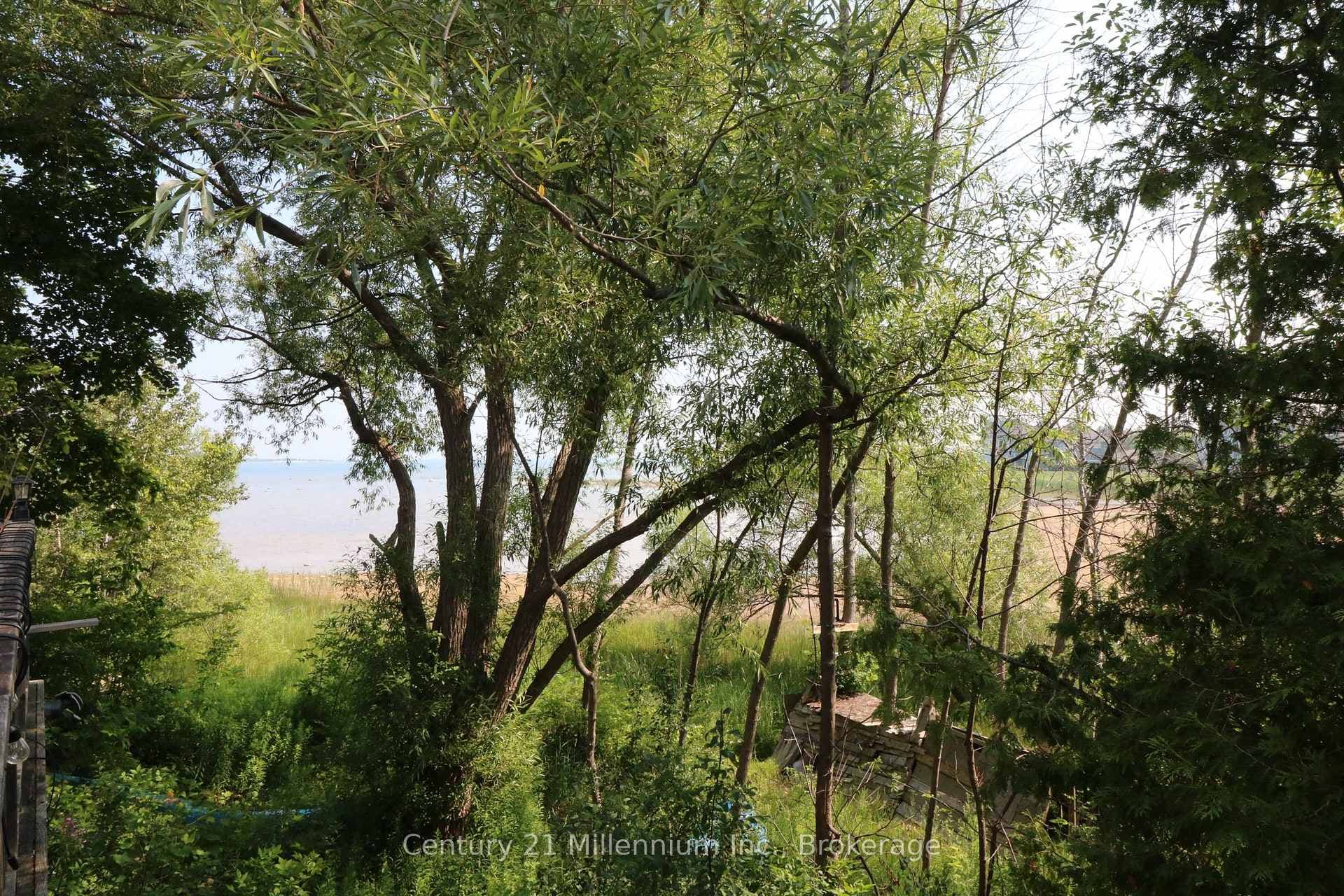 Waterfront views from back deck