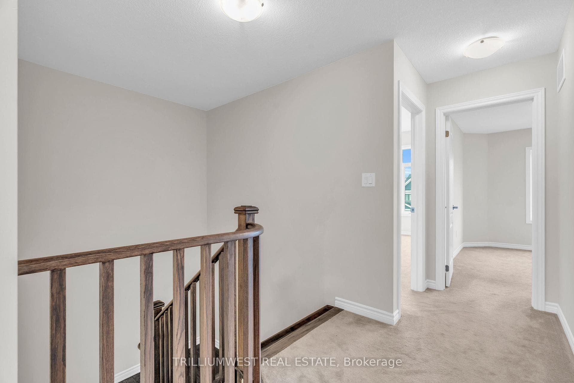 377 Dolman Street photo 17