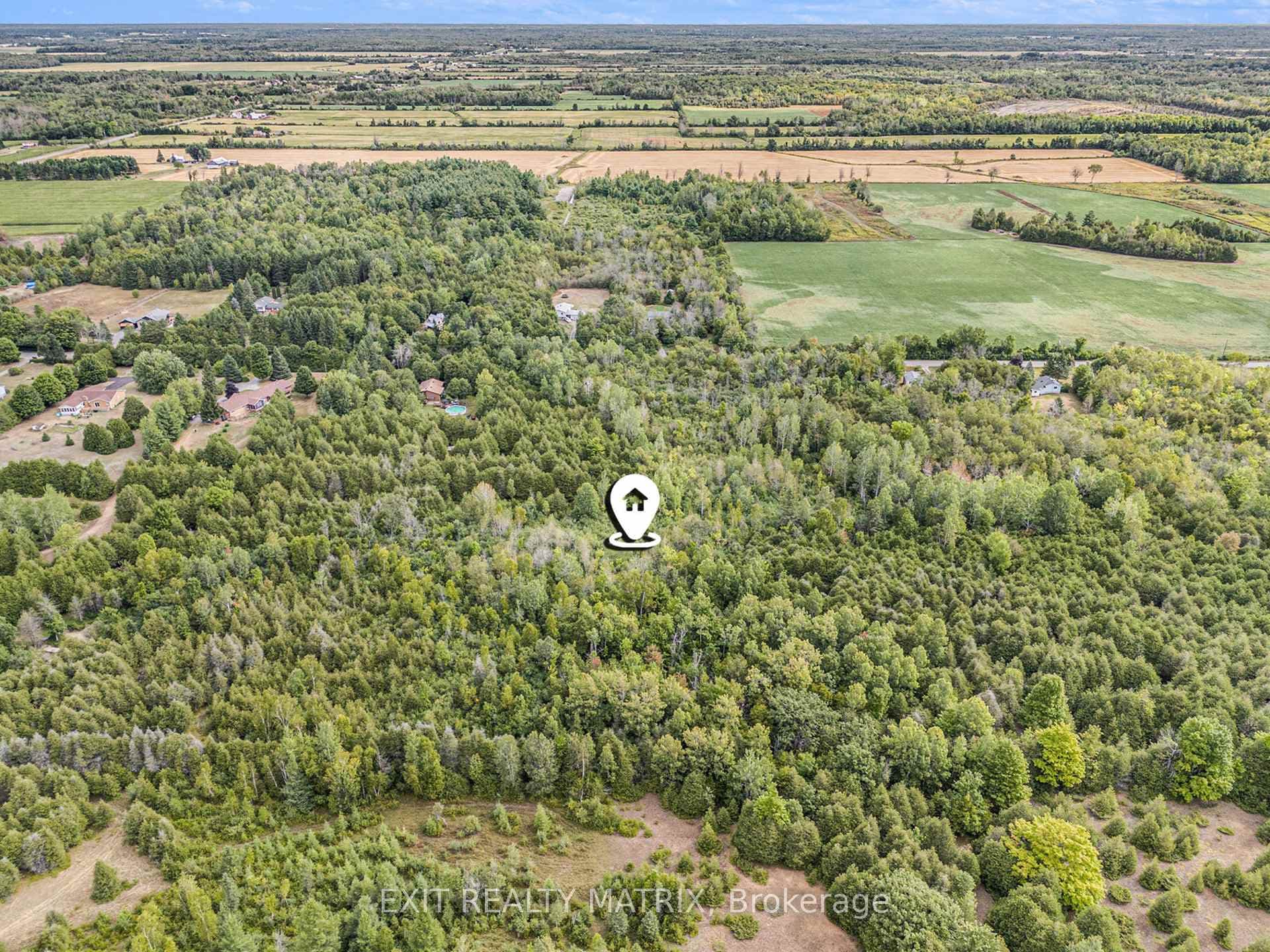 342 Donoghue Road photo 12