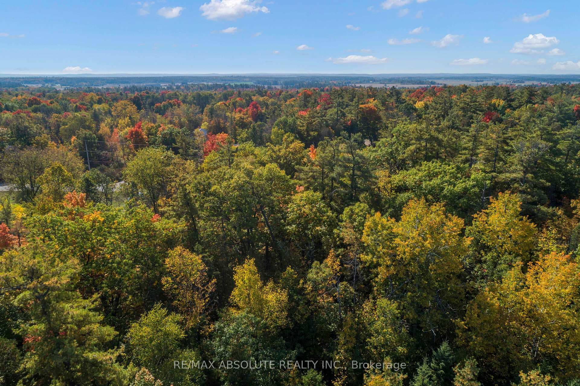 01 Braecrest Avenue photo 19