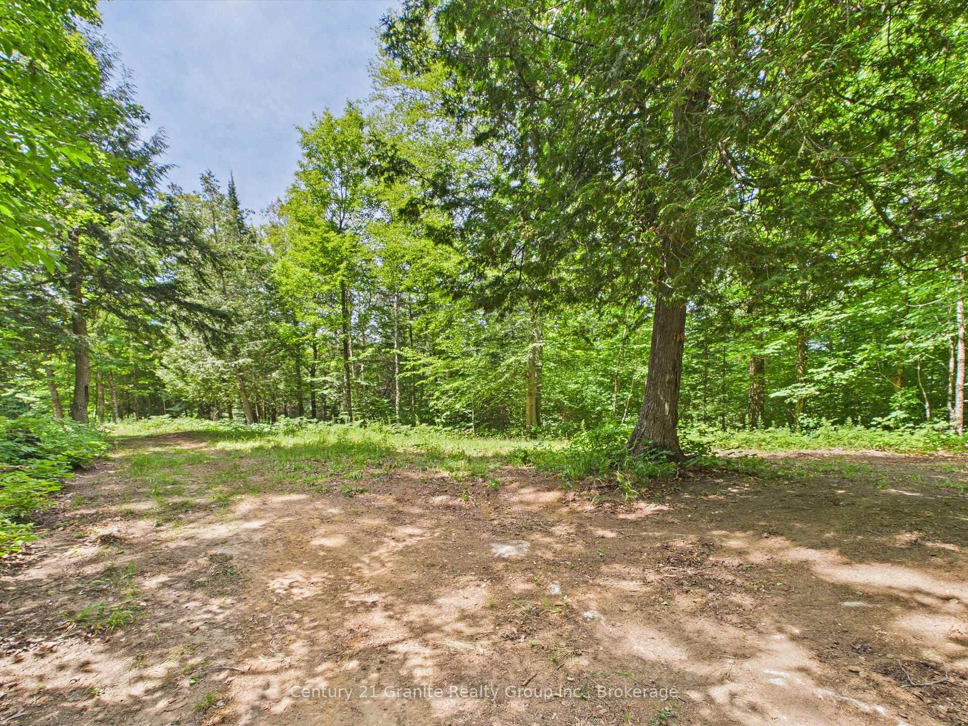 1230 Old Donald Road photo 2