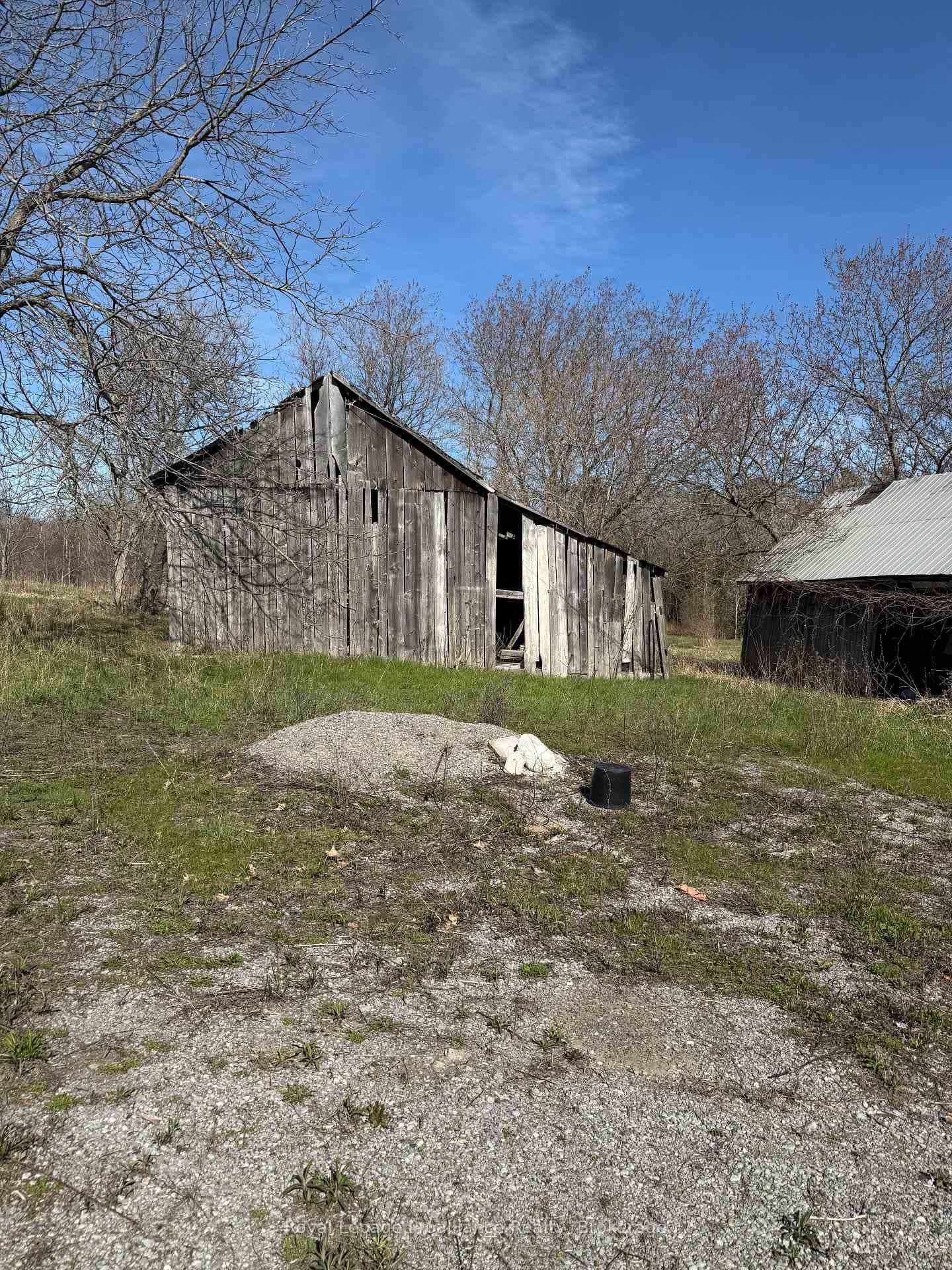 303 Brimley Road photo 13