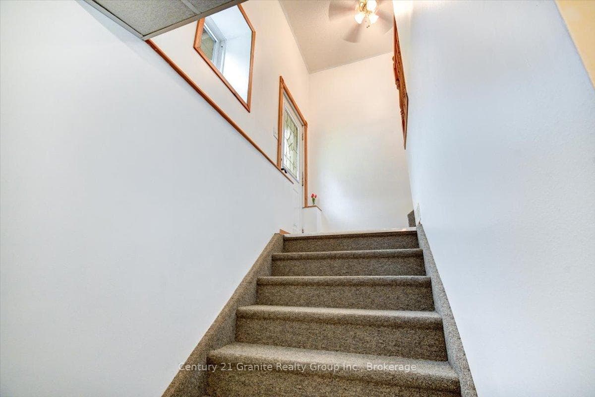 66 Hastings Street photo 21