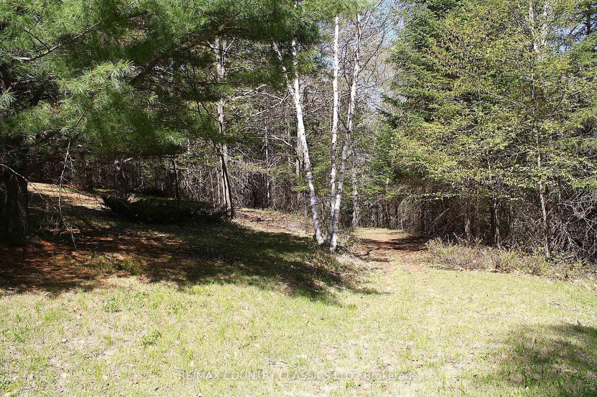 1060 Little Ireland Road photo 10