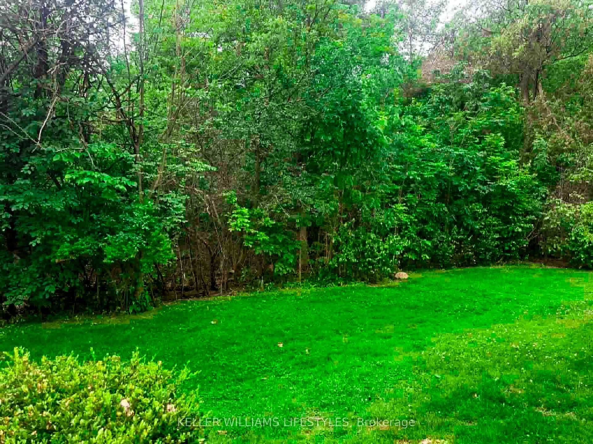 View From Kitchen Window