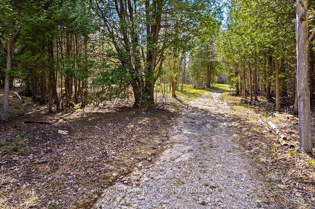 178 Barfoot Crescent photo 9