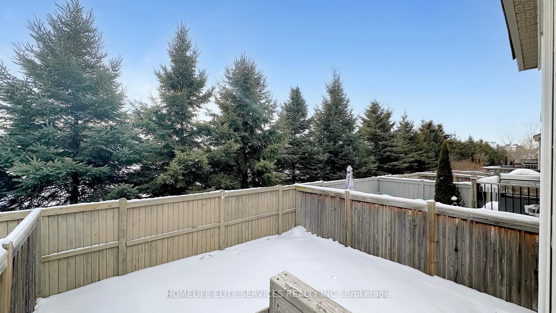 1880 Liatris Drive photo 28
