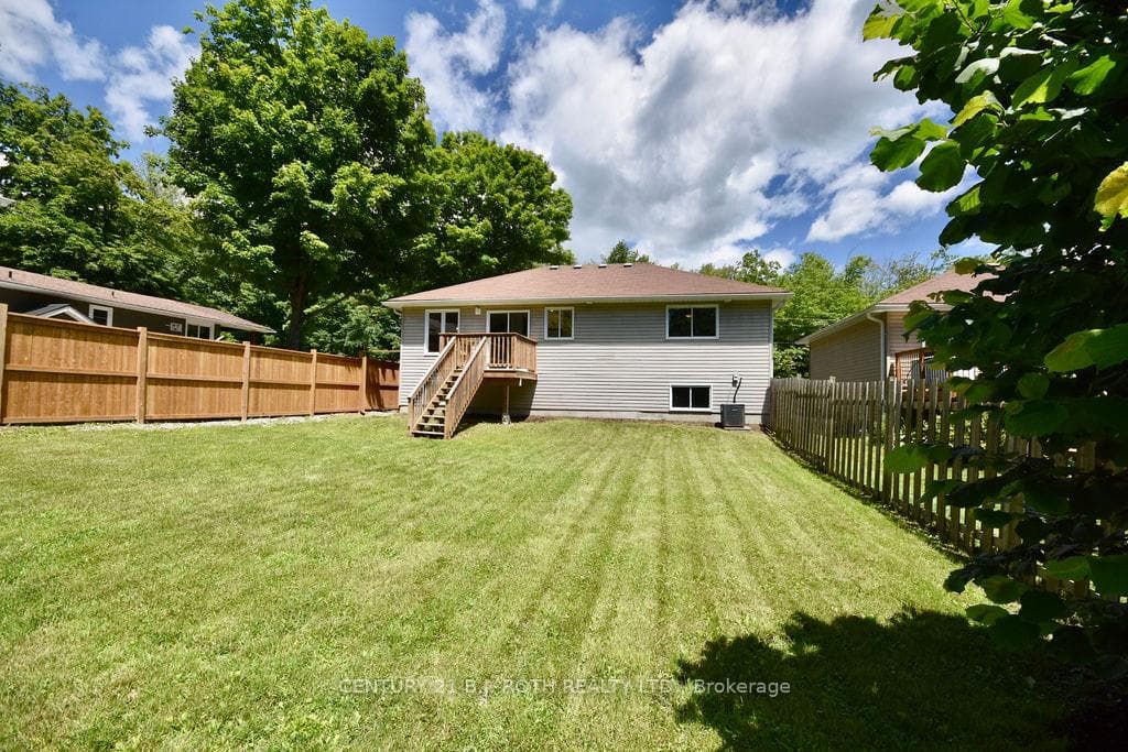 Back Yard & Deck