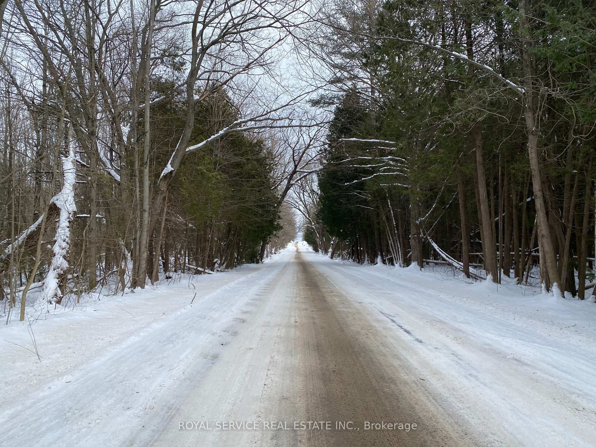 Road View East