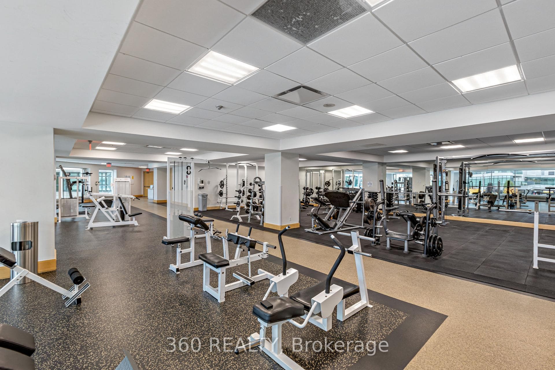 Comprehensive gym