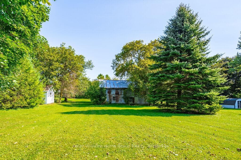 19 Peel Street photo 39