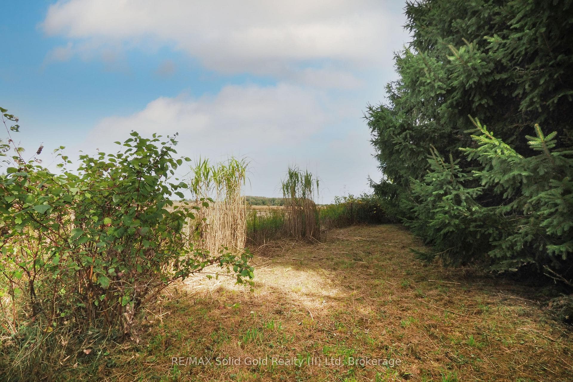 18 Baird Street photo 9