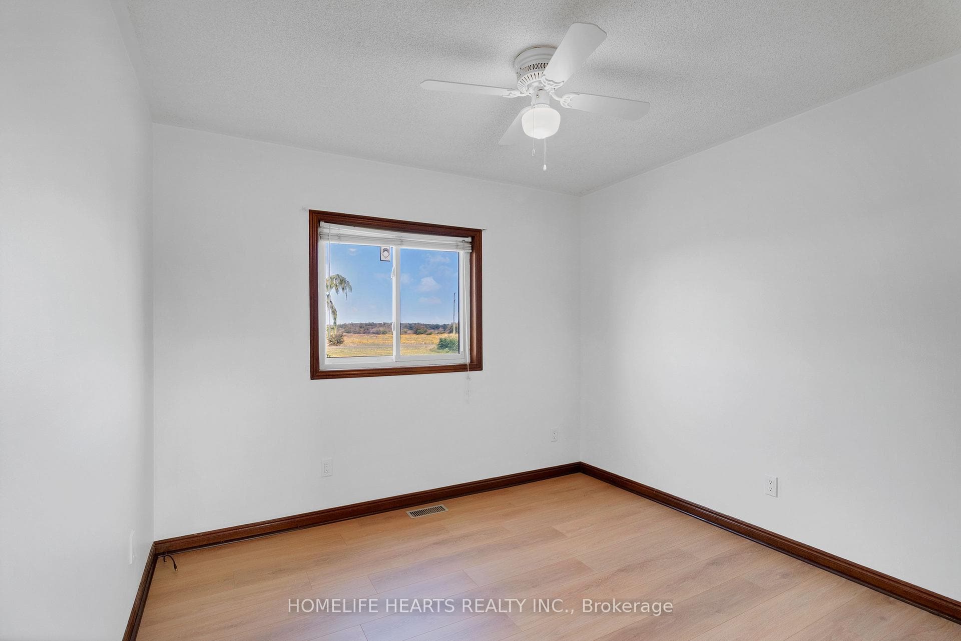 8350 Mud Street photo 20