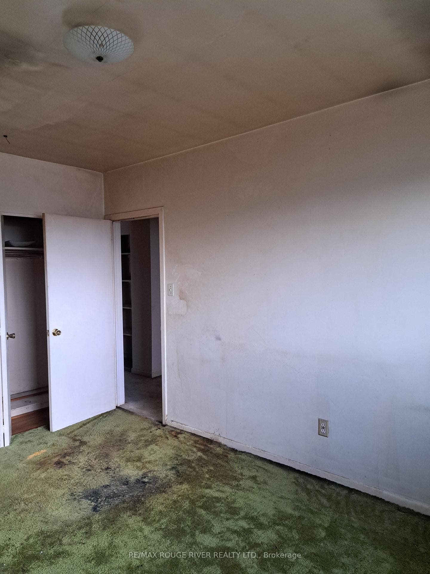 67 Wintergreen Road photo 13