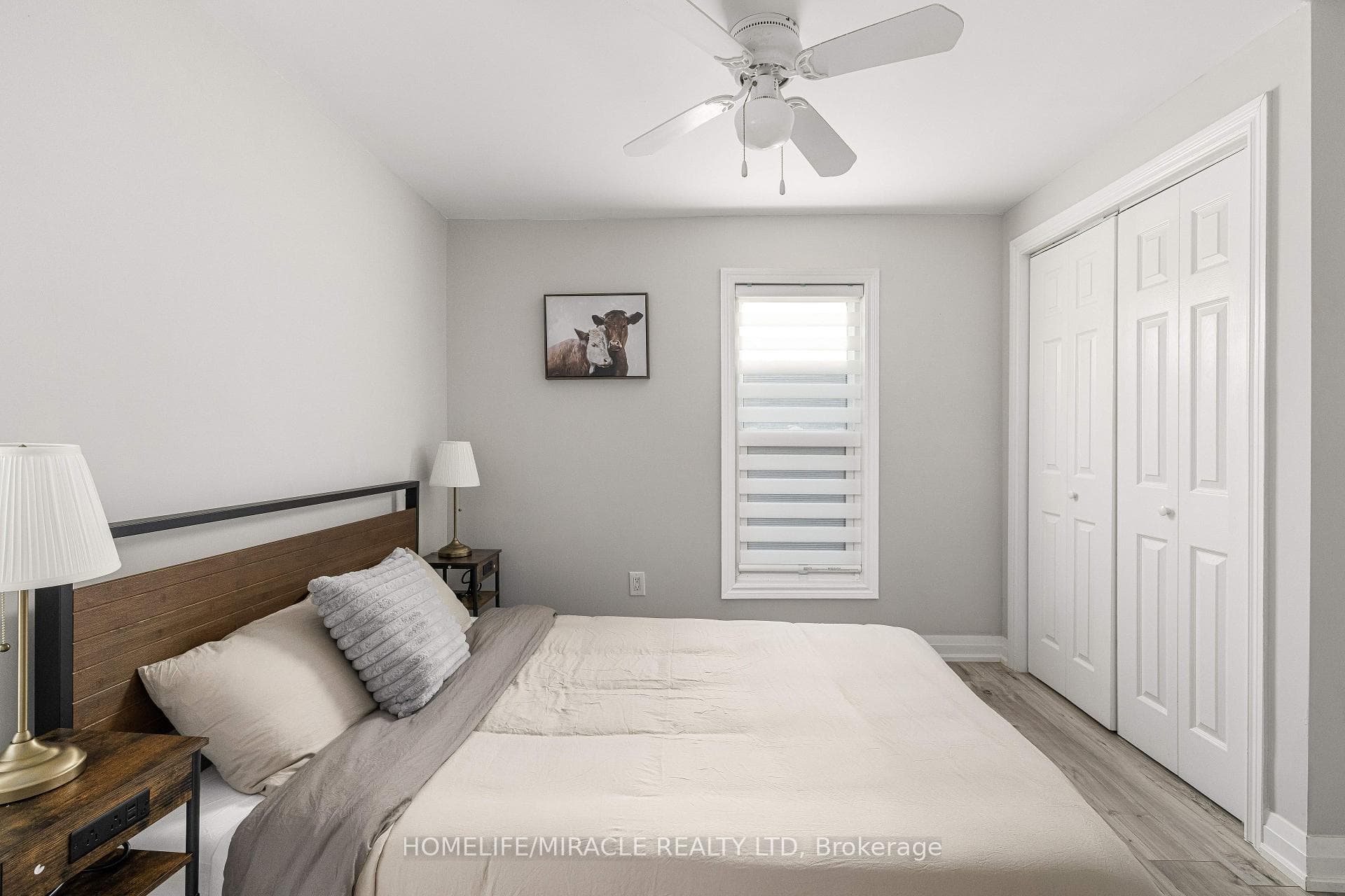 19 Gilbert Street photo 24