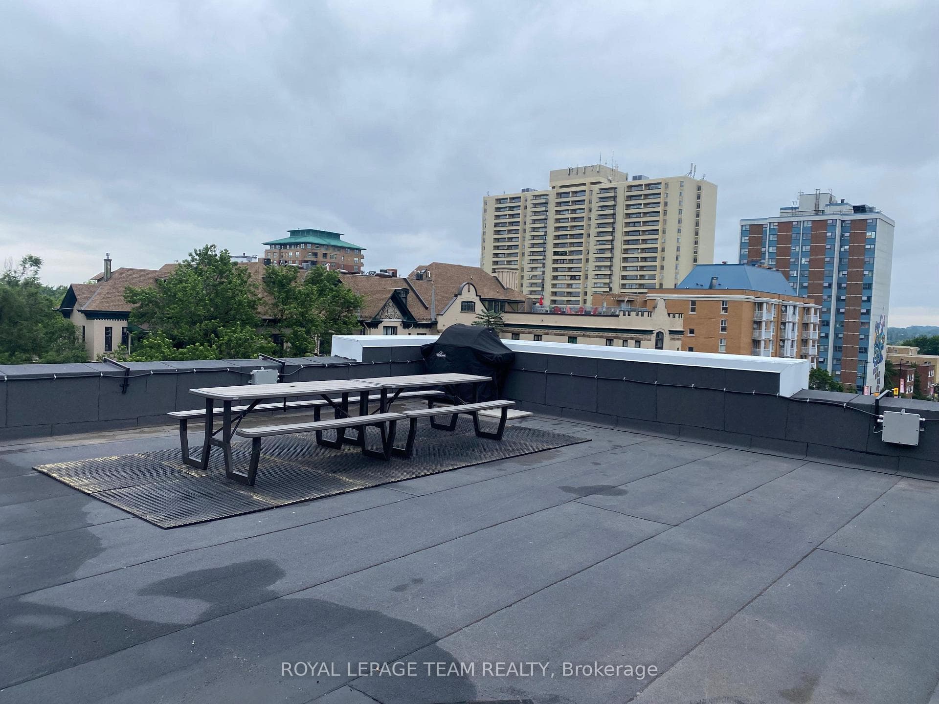 168 Charlotte Street Unit 101 photo 15