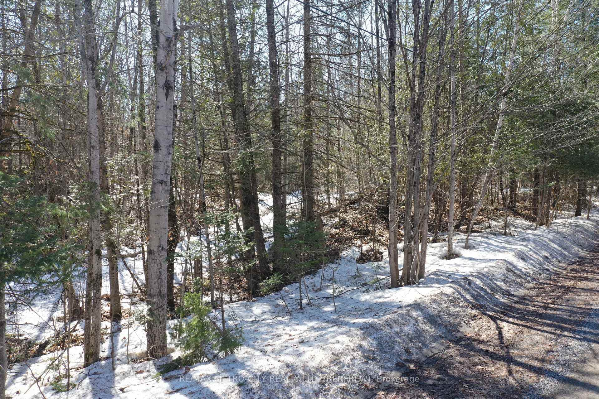835 Ferguslea Road photo 8