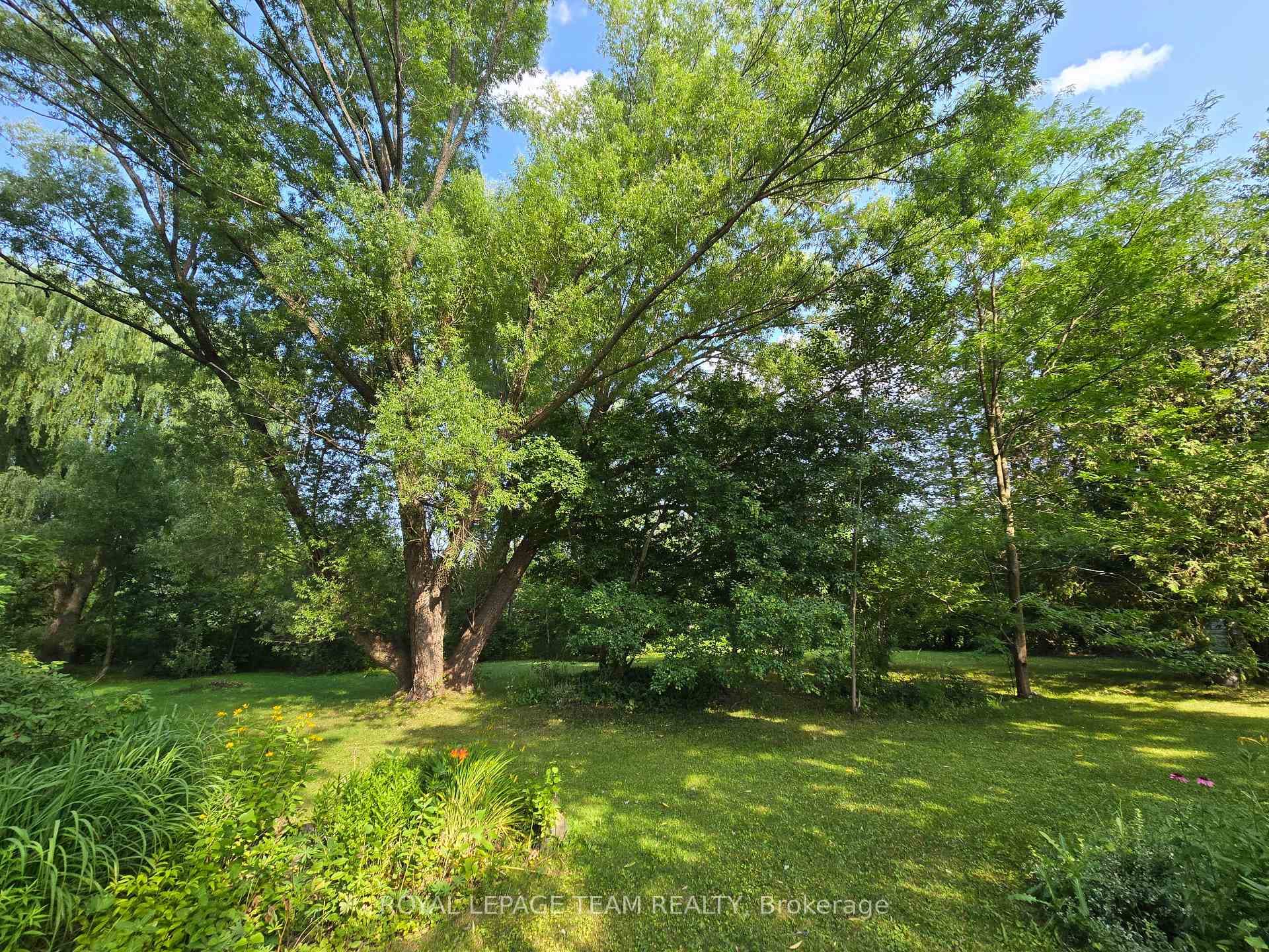 6481 Rideau Valley Drive photo 38