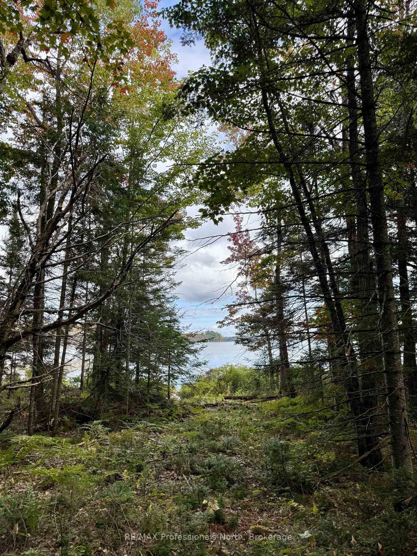 9 Woodland Drive photo 3