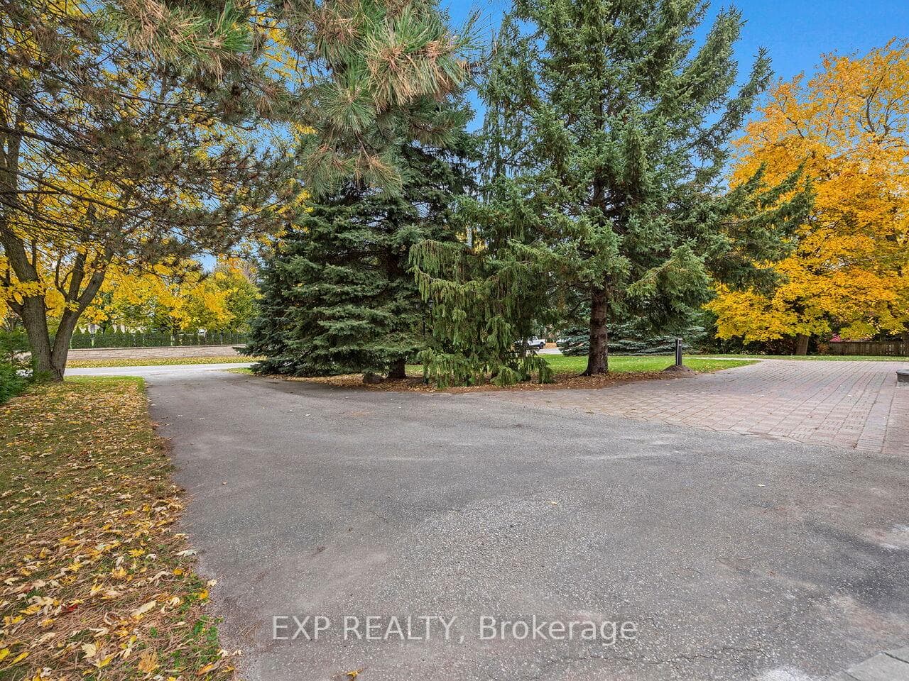 13258 5 Side Road photo 6