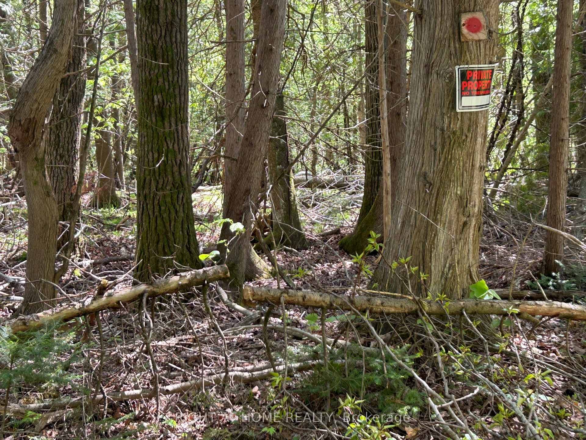 0 Mount Horeb Road photo 10