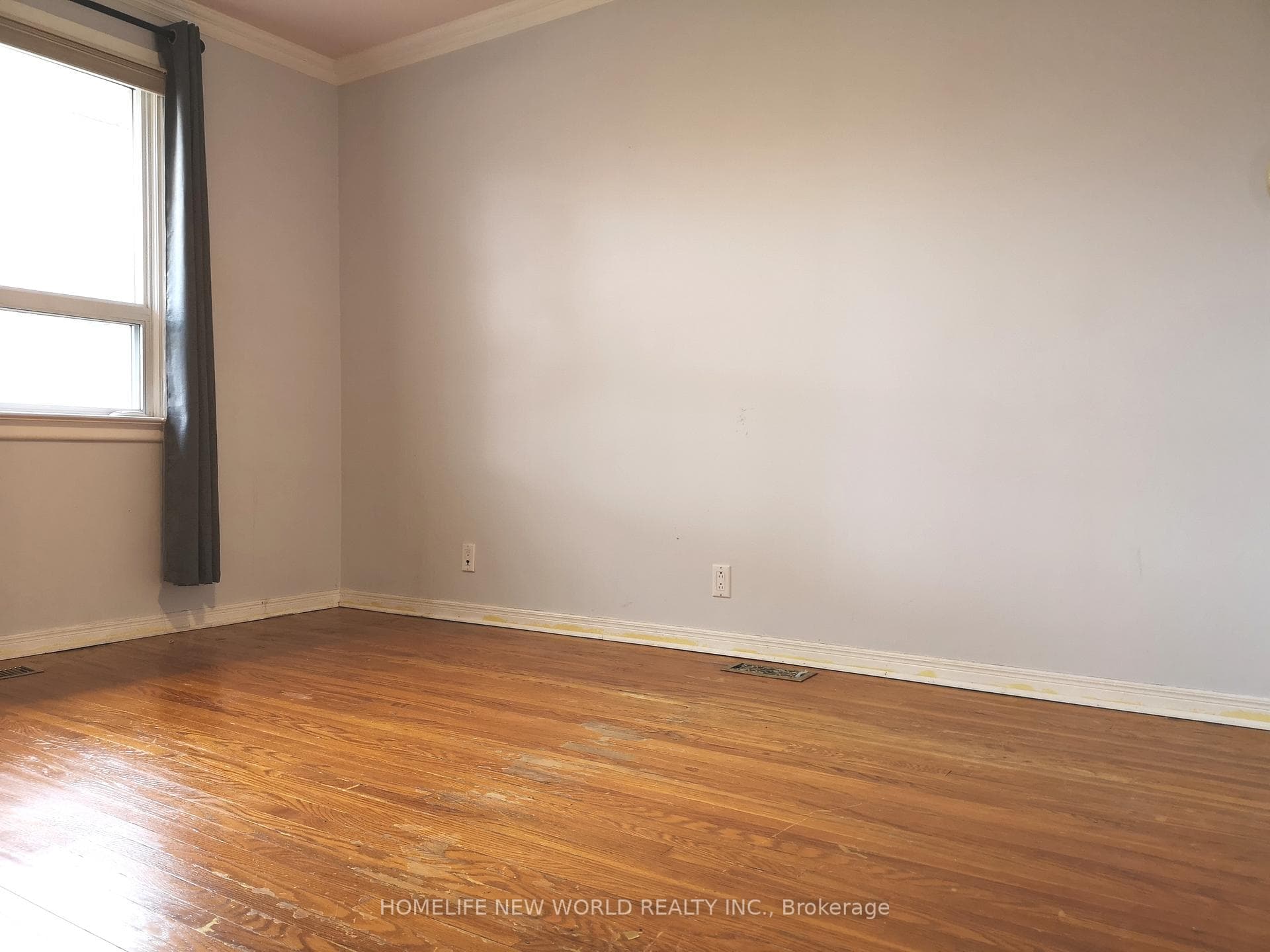 158 Wincott Drive photo 15