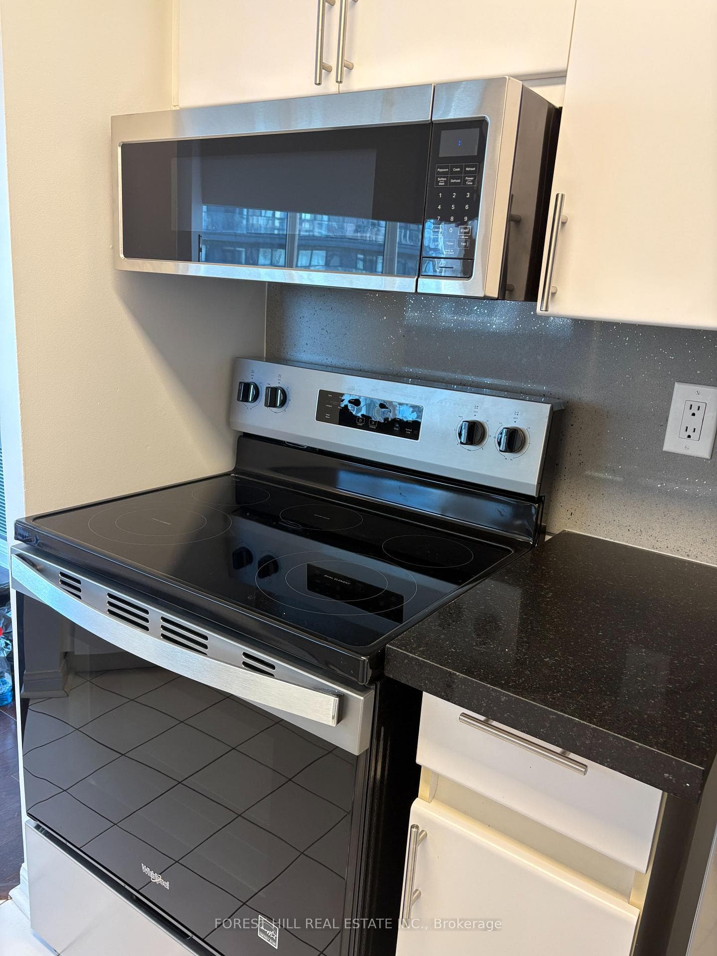 24 Wellesley Street Unit 2103 photo 18