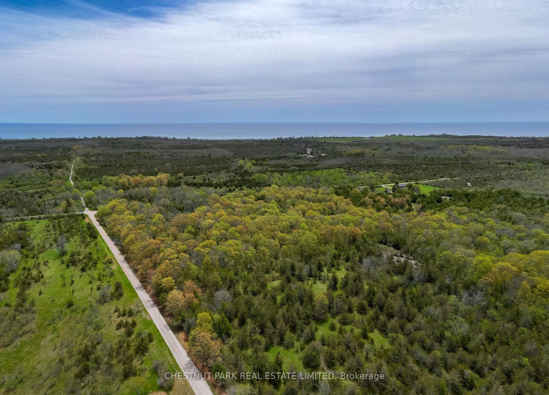 206 Simpson Road photo 8