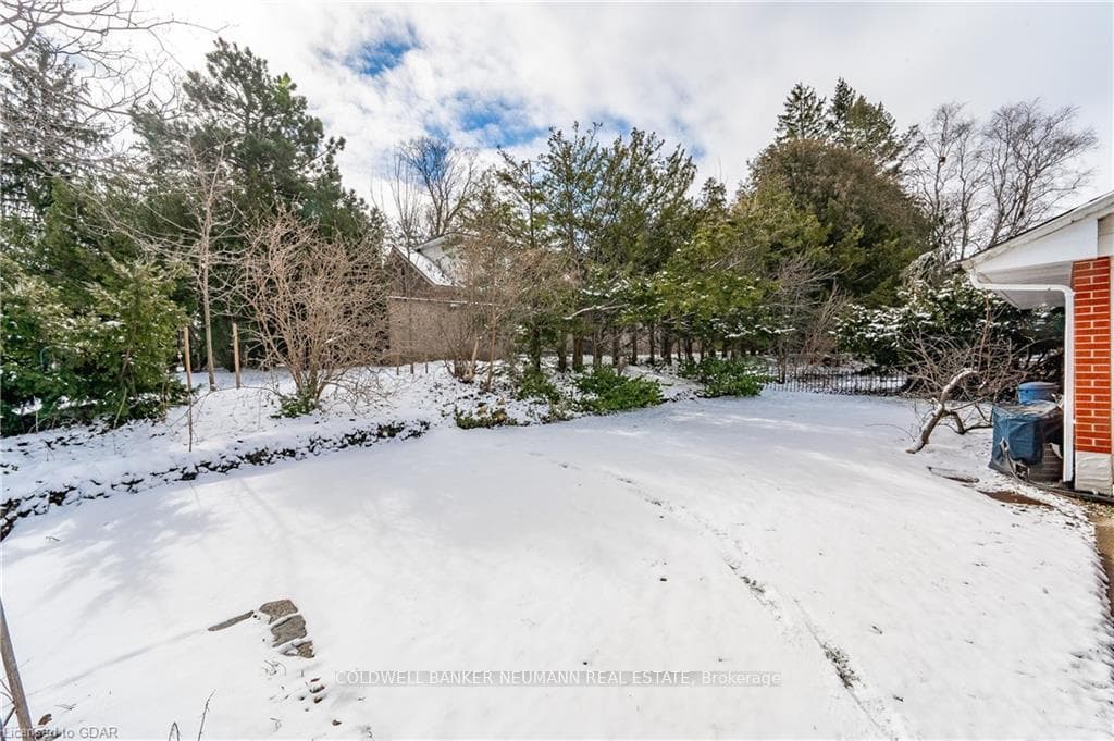 41 Campion Avenue photo 20
