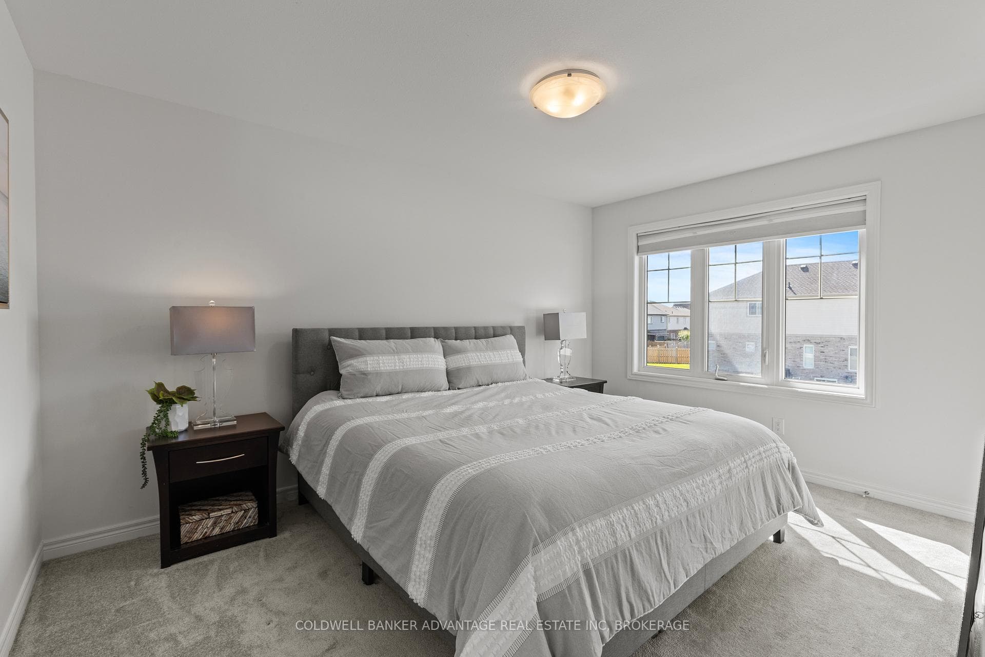 222 Heron Street photo 14