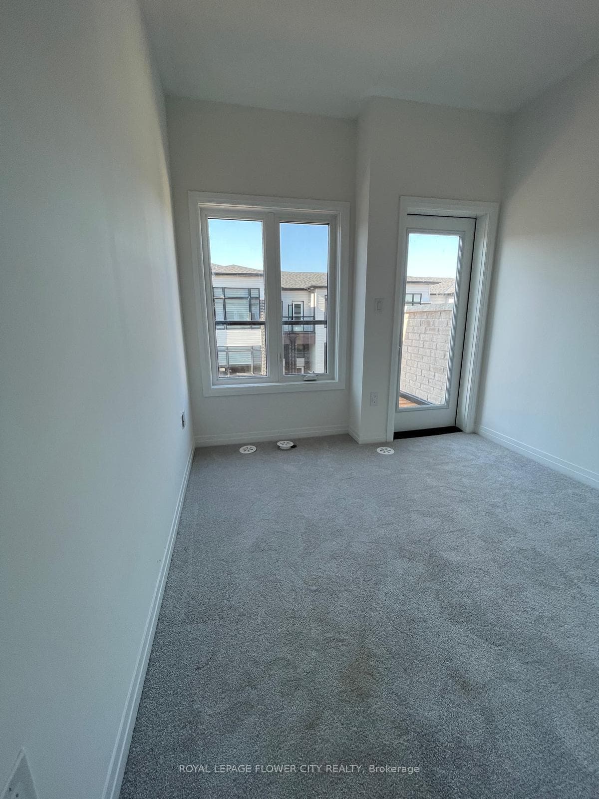 36 Sidney Rose Common N/A photo 12